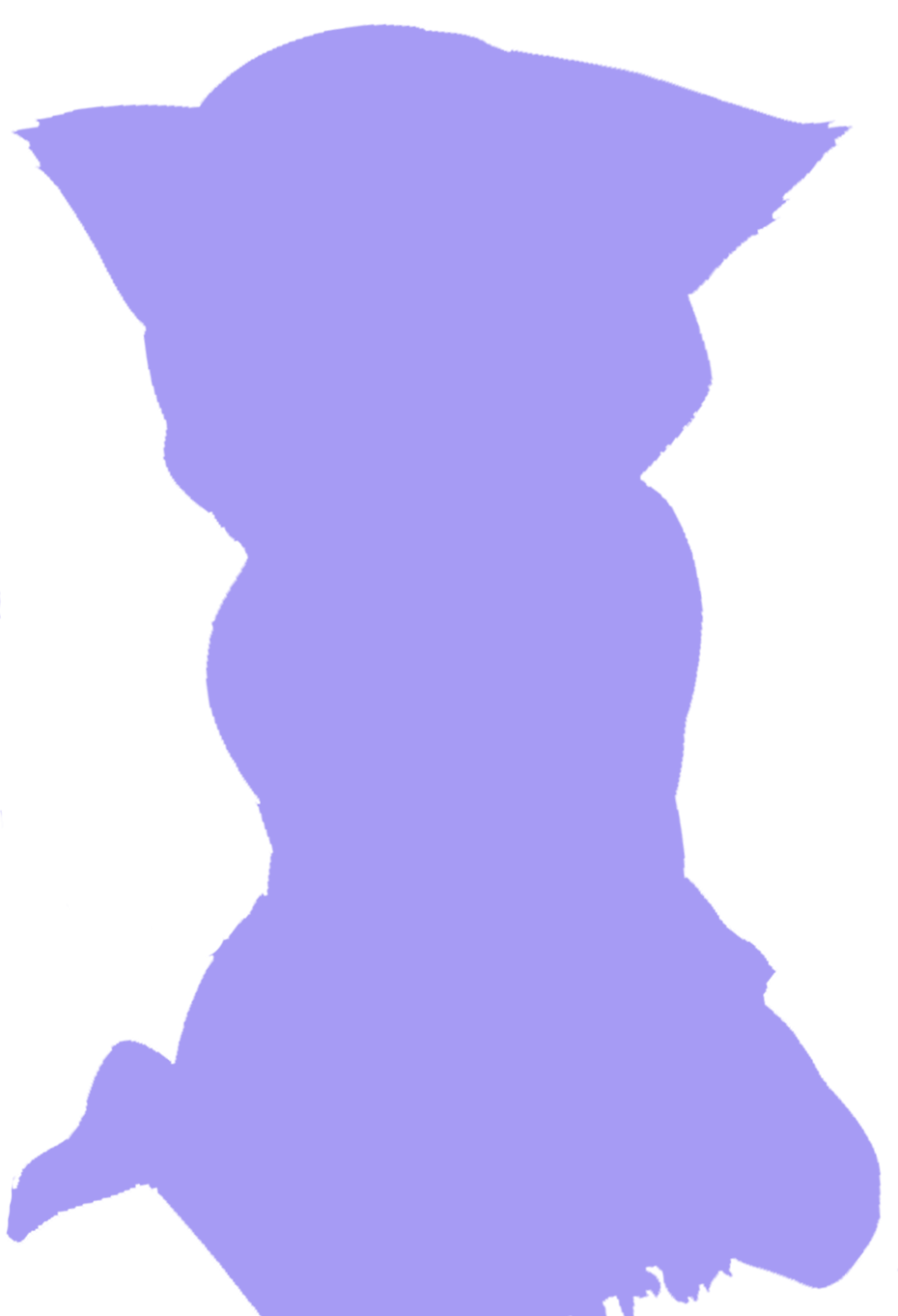 Preview Images